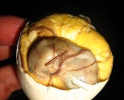 balut-1