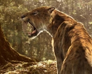 tigre-dentes-de-sabre-ou-smilodon-3