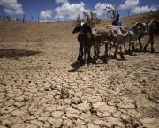 o-problema-da-agua-no-nordeste-1