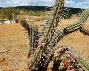 o-problema-da-agua-no-nordeste-1_0