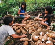 desmatamento-e-danos-as-comunidades-da-amazonia-5