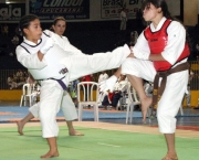 karate-1