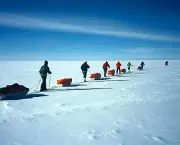 o-desaparecimento-do-explorador-dos-polos-roald-amundsen-2