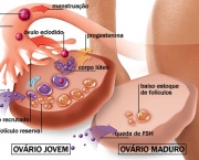 estrogeno-homens-com-hormonio-feminino-1