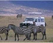 o-que-levar-ao-safari-2