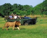 o-que-levar-ao-safari-3