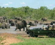 o-que-levar-ao-safari-4