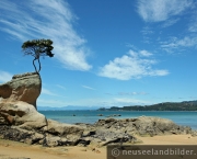 abel-tasmanna-e-oceania-tasmania-3