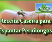 repelentes-caseiros-contra-pernilongos-11