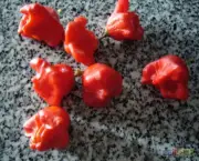 moruga-laranja-1