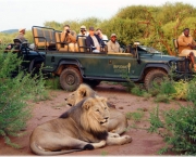 no-dia-a-dia-do-safari-e-imprescindivel-alguns-itens-3
