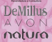 como-ser-consultora-demillus-12