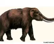 mastodonte-1