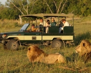 no-dia-a-dia-do-safari-e-imprescindivel-alguns-itens-5
