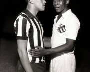 quem-foi-amarildo-no-futebol-16