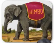 jumbo-o-elefante-1