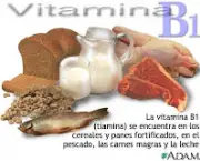 as-vitaminas-do-complexo-b-2