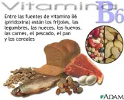 as-vitaminas-do-complexo-b-4