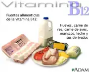 as-vitaminas-do-complexo-b-5