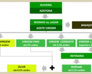 veja-o-processo-para-a-transformacao-do-azeite-8