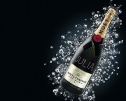 moet-e-chandon-2