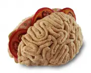 sanduiche-de-cerebro-3