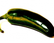 jalapeno-2