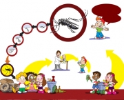 a-dengue-mata-e-quais-sao-os-tipos-de-dengue-3