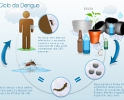 a-dengue-mata-e-quais-sao-os-tipos-de-dengue-6