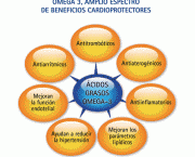 a-importancia-do-omega-3-na-capacidade-mental-1