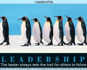 a-lideranca-entre-os-animais-de-diferentes-especies-3