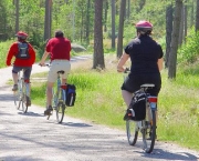 A Verdadeira Bicicleta Camelo (14).jpg