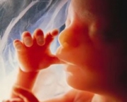aborto-espontaneo-10