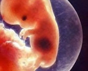 aborto-espontaneo-2