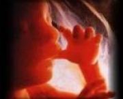 aborto-espontaneo-7