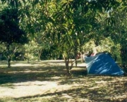 Acampar 12