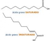 acidos-graxos-insaturados-1