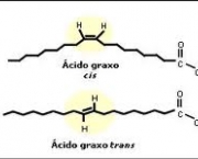acidos-graxos-insaturados-4