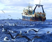 The Belise-registered deep sea trawler Chang Xing trawling in in