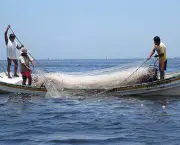 Administracao Nacional de Pesca de Mocambique ADNAP (13).jpg