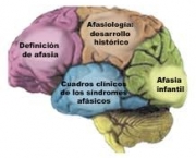 afasia-progressiva-primaria-20