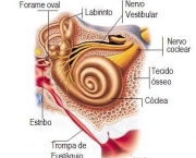 afasia-tem-cura-4