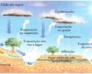 agua-e-biosfera-3