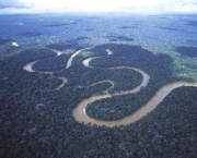 amazonas-para-conhecer-o-rio-amazonas-1