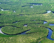 amazonia-9