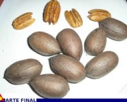 amendoas-para-tratar-a-diarreia-6