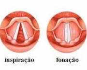 anatomia-e-musculos-da-laringe-5