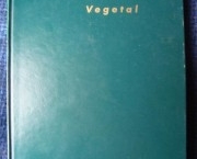 anatomia-vegetal-5