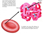 anemia-11