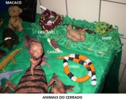 animais-do-cerrado-5